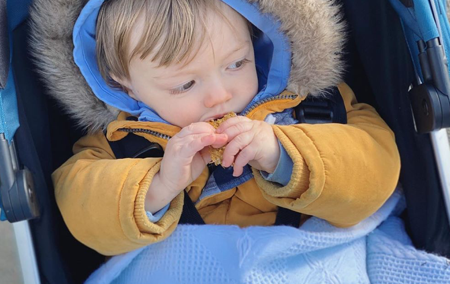 Healthy Toddler Carrot & Apple Oat Bars